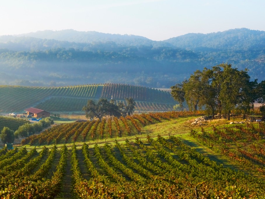 cal poly honored alumni